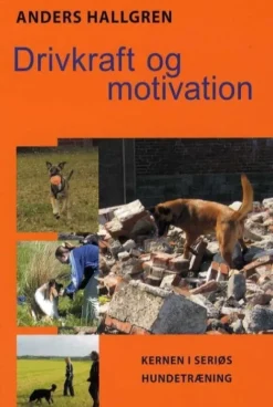 Drivkraft Og Motivation