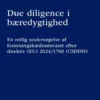 Due Dilligence I Bæredygtighed