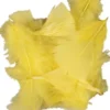 Dun - L 7-8 CM - Gul - 50 G