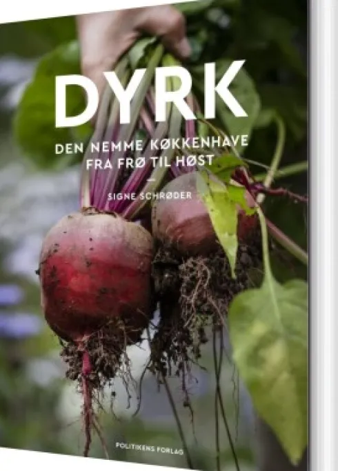 Dyrk