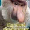 Dyr Med Sjove Næser