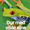 Dyr Med Vilde Øjne