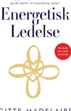Energetisk Ledelse