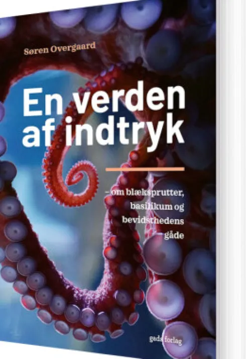 En Verden Af Indtryk