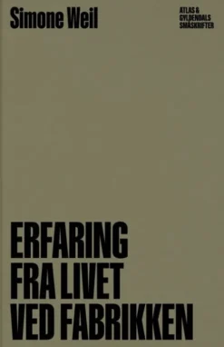 Erfaring Fra Livet Ved Fabrikken
