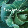Evergreen: Vegetarian Recipes From A Nordic Kitchen