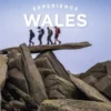Experience Wales - Lonely Planet