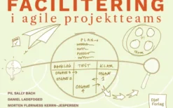 Facilitering I Agile Teams