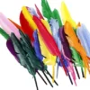 Fjer - 17-20 CM - 250 Stk