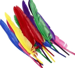 Fjer - L 27 CM - Forskellige Farver - 12 Stk