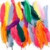 Fjer - L 12-15 CM - Forskellige Farver - 350 Stk