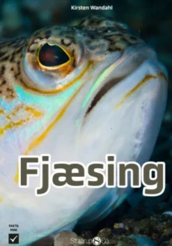Fjæsing