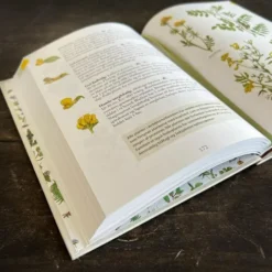 Flora