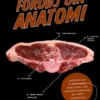 Fordøj Din Anatomi
