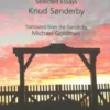 Fragments Of A Mirror: Selected Essays
