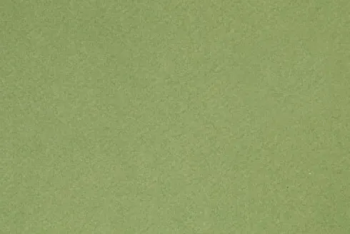 Fransk Karton - A4 - 210X297 MM - 160 G - Æble Grøn - 1 Stk
