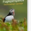 Fugleperspektiv