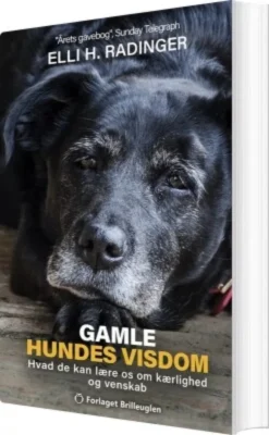 Gamle Hundes Visdom