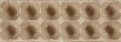 Æggebakker - H 5 CM - L 30,5 CM - B 11 CM - 3 Stk