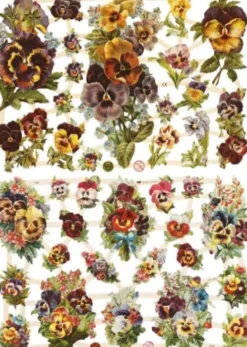 Glansbilleder - Blomster Stedmoder - 2 Ark
