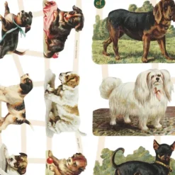 Glansbilleder - Hunde - 2 Ark