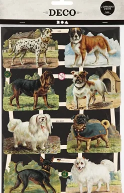 Glansbilleder - Hunde - 2 Ark