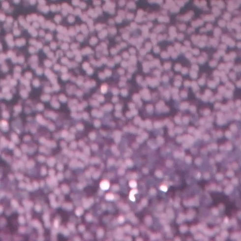 Glitterlim - Lilla - 25 ML