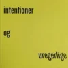 Gode Intentioner Og Uregerlige Byer