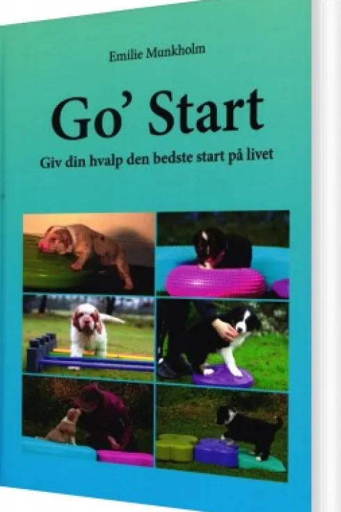 Go' Start