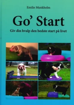Go' Start
