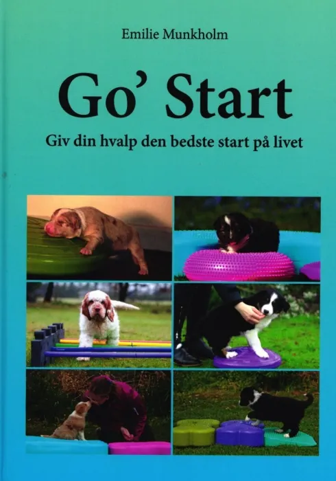 Go' Start