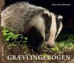 Grævlingebogen