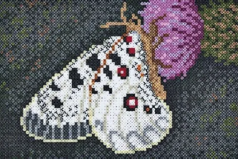 Hama Art - Sommerfugl Perlesæt - 10.000 Midi Perler - 3605