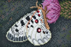 Hama Art - Sommerfugl Perlesæt - 10.000 Midi Perler - 3605
