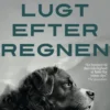 Hans Lugt Efter Regnen
