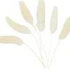 Harehale - L 3-7 CM - 6 Stk