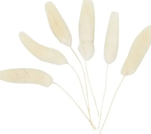 Harehale - L 3-7 CM - 6 Stk