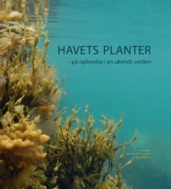 Havets Planter
