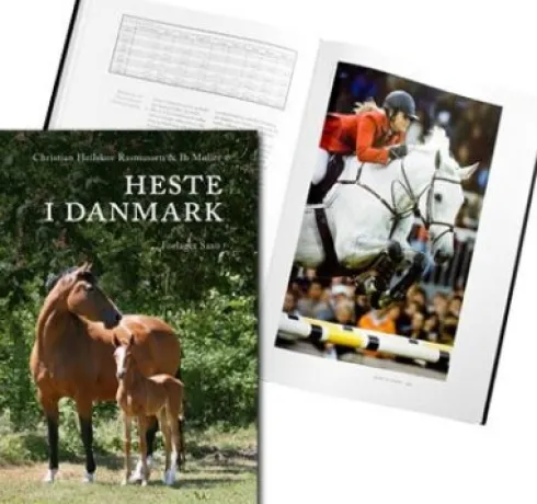 Heste I Danmark