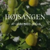 Højsangen