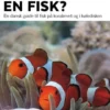 Hva' For En Fisk?