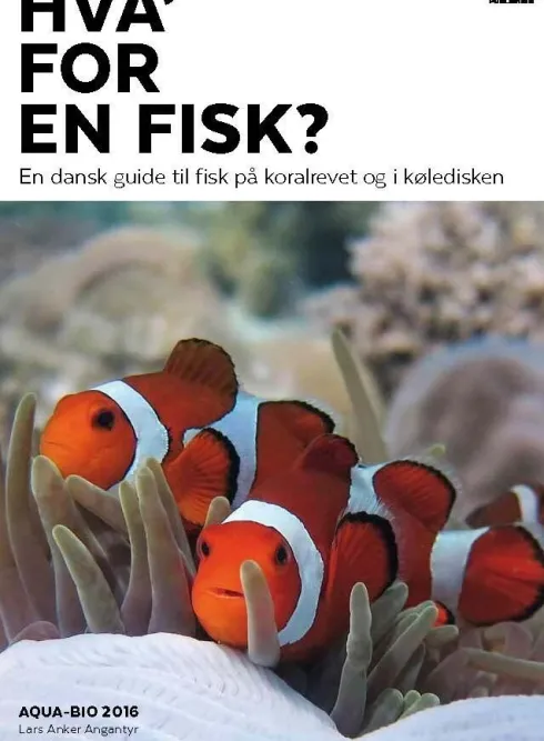 Hva' For En Fisk?
