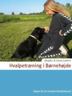 Hvalpetræning I Børnehøjde