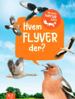 Hvem Flyver Der?