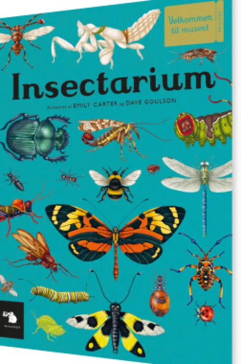 Insectarium
