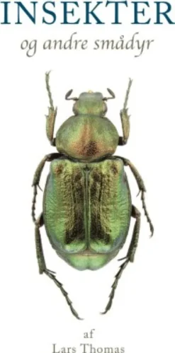 Insekter Og Andre Smådyr