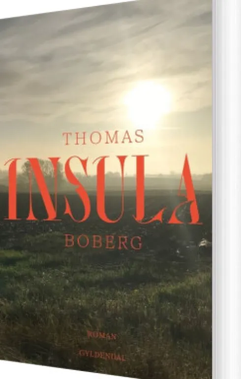 Insula