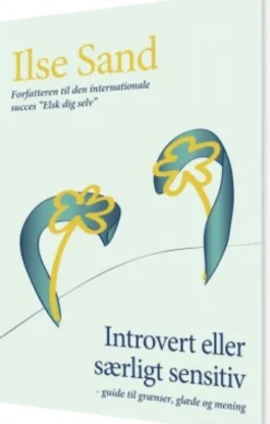 Introvert Eller Særligt Sensitiv
