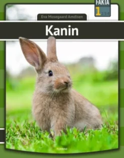 Kanin