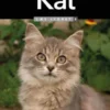 Kat, Læs Lydret 3, Fakta